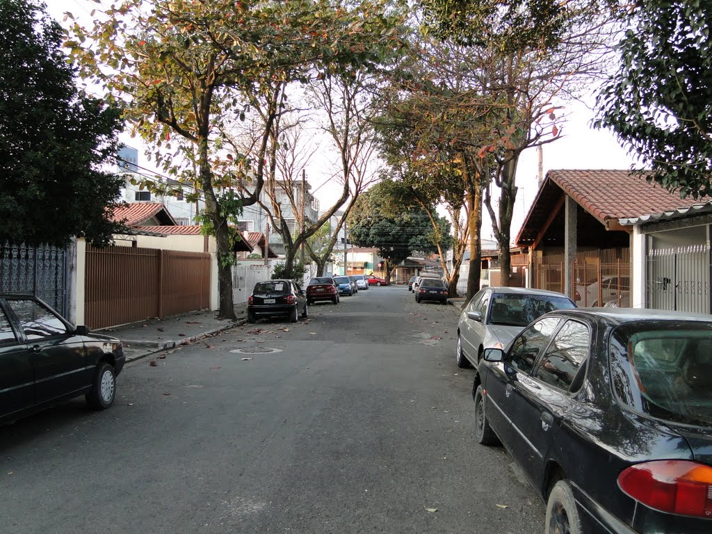 Rua Granada, em São José dos Campos, SP, Brasil by Caio Graco Machado