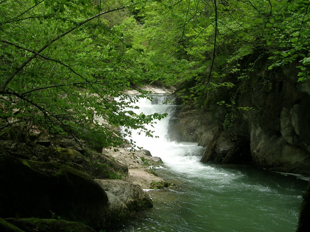 Cascada Del Cubo entre Hayas by Apatxe