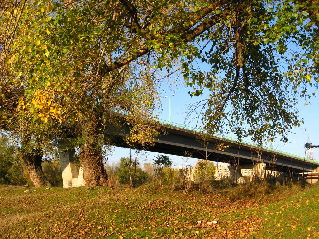 Autumn in Micalaca District by medeleanuraluca