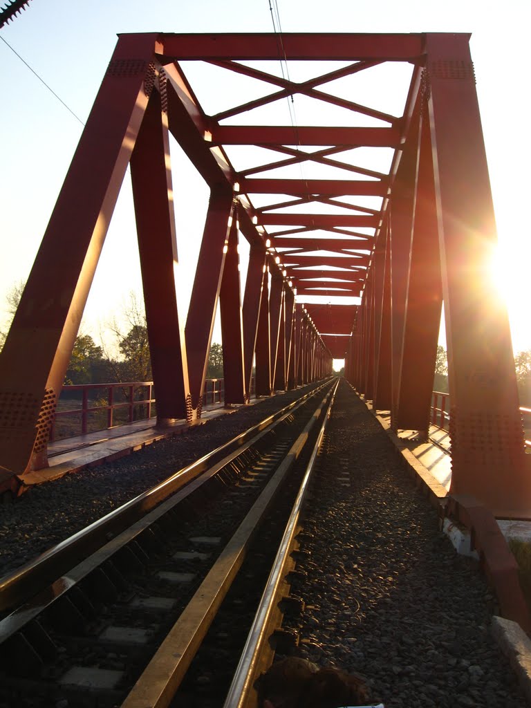 Railway Bridge in Micalaca District by medeleanuraluca