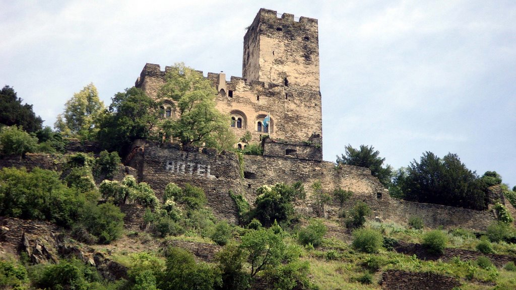 Burg bei Kaub by Reisebild