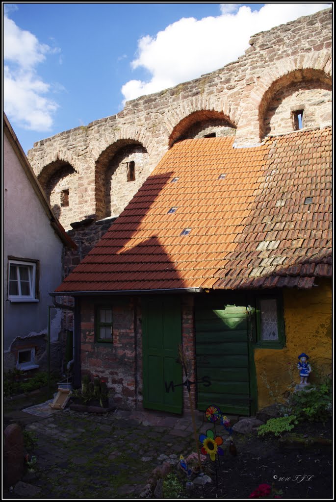 Alte Stadtmauer by © argon4811