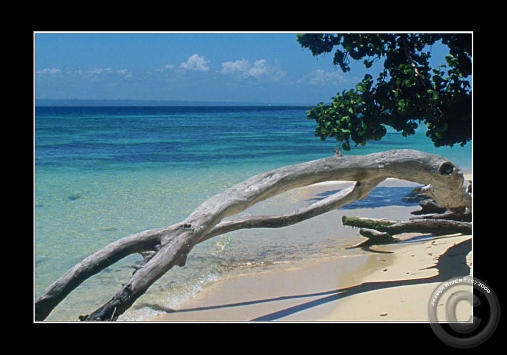 Puerto Plata - Samana - Baccardi Island by jocelyn NIVERT