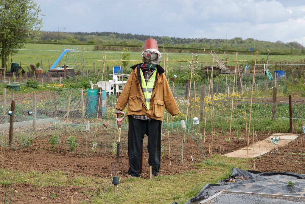 Undy Allotment Scarecrow by rob_finnigan