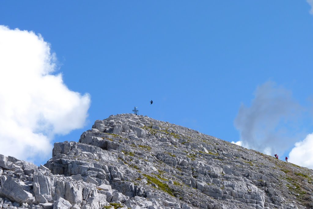 Cima Pizzo Arera - mt 2512 by gigisl