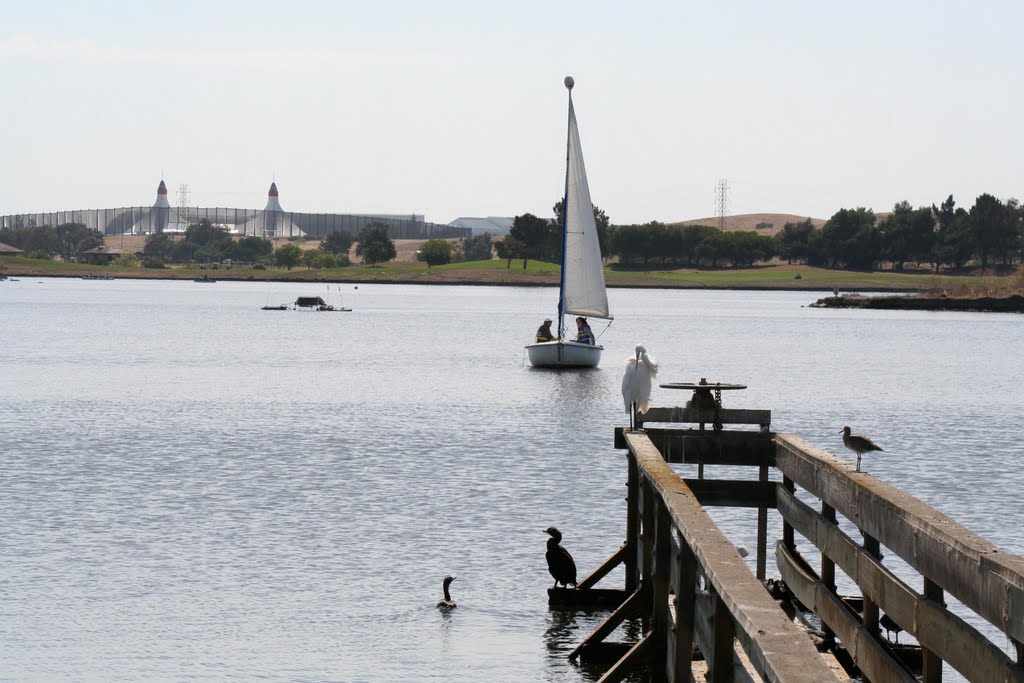 Sailing on Shoreline Lake by Edward Rooks