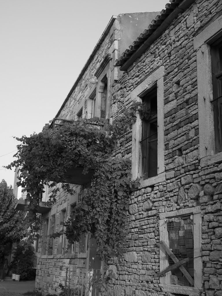 Old greek houses (nea fokaia) by syskaris