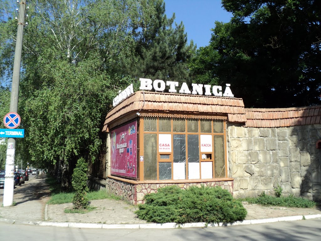 Botanica Entrance by colinfive