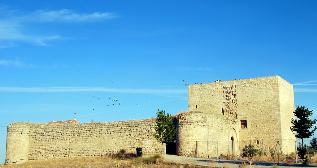 Castillo de los Bracamonte, s . xv. Fuente el Sol. by ljrozas