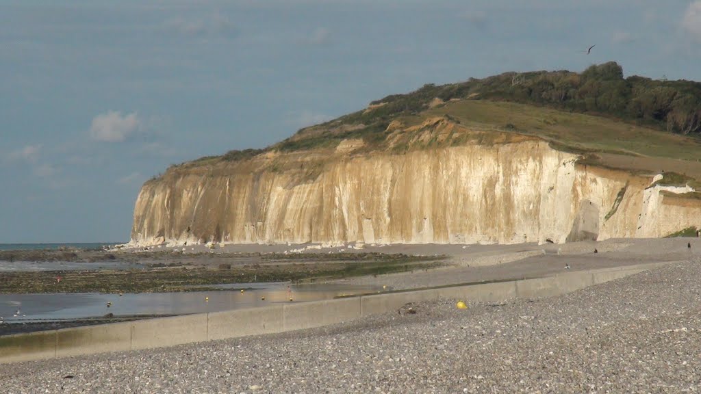 France: Quiberville - Les falaises du pays de Caux by chatons76