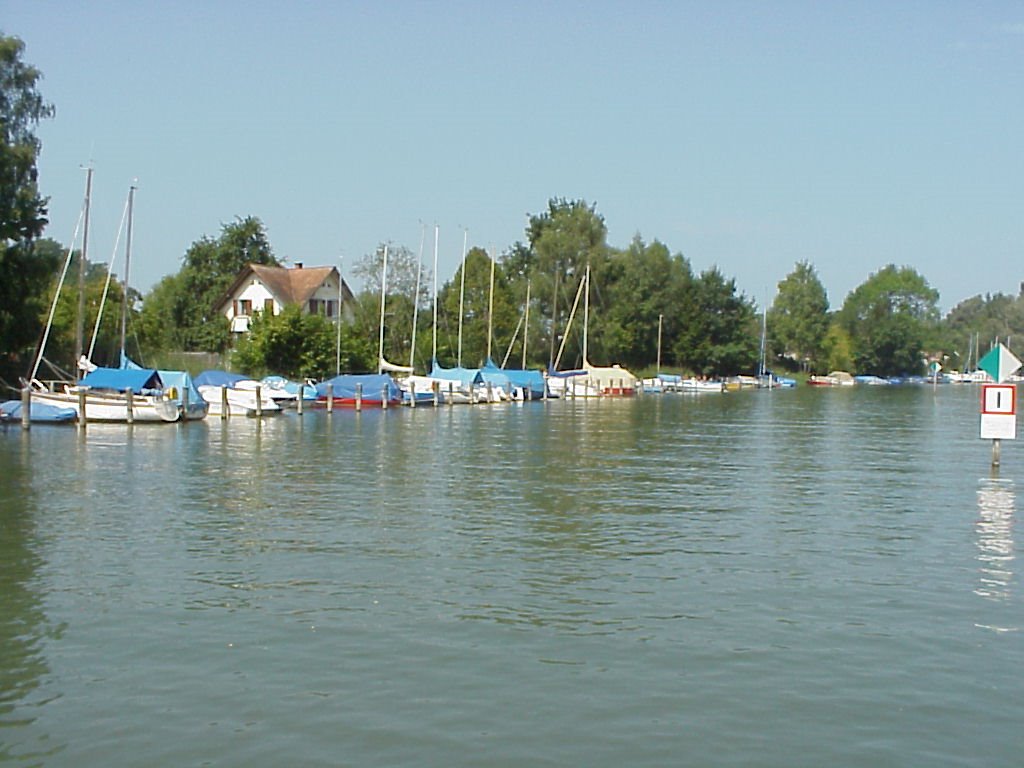 Der alte Rhein - Schweizer Ufer by Anton Ganthaler