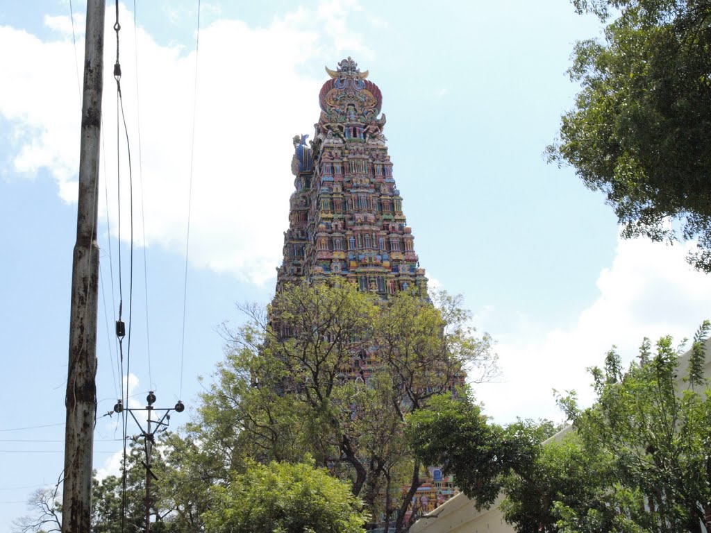 Meenakshi Amman temple, Madurai by Vijayan T