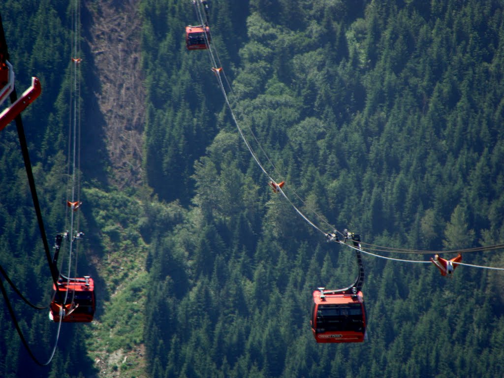 Whistler Peak 2 Peak cans by constantpijls