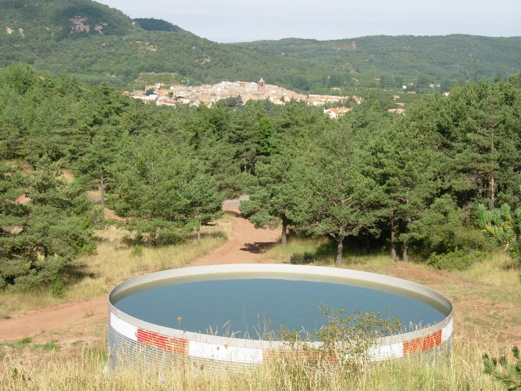 Una bassa i Prades al fons by david freixenet