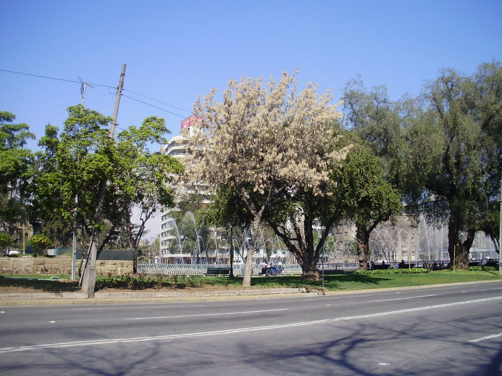 Pileta del Bicentenario by Juan José Sanhueza P…