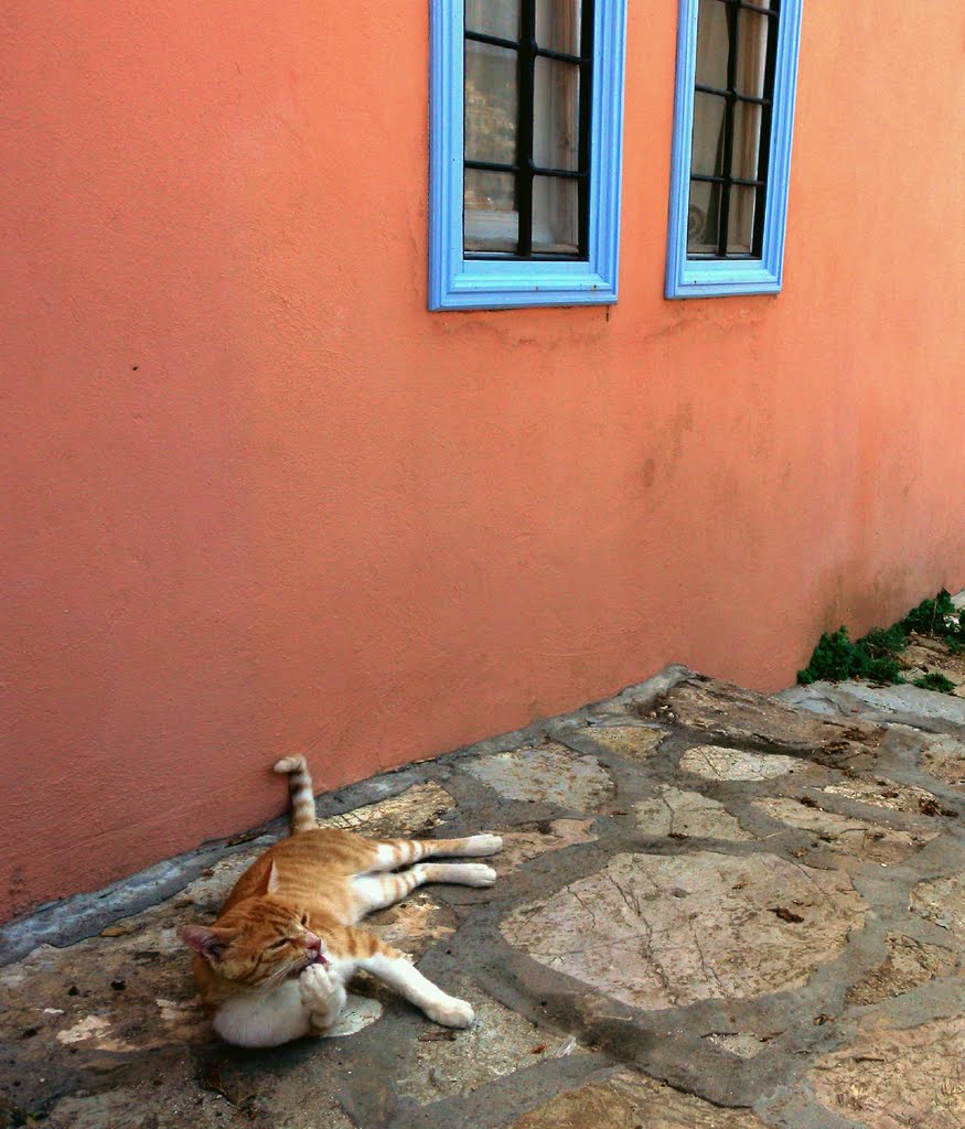 Görögország - Symi sziget - délutáni szieszta... by katlin