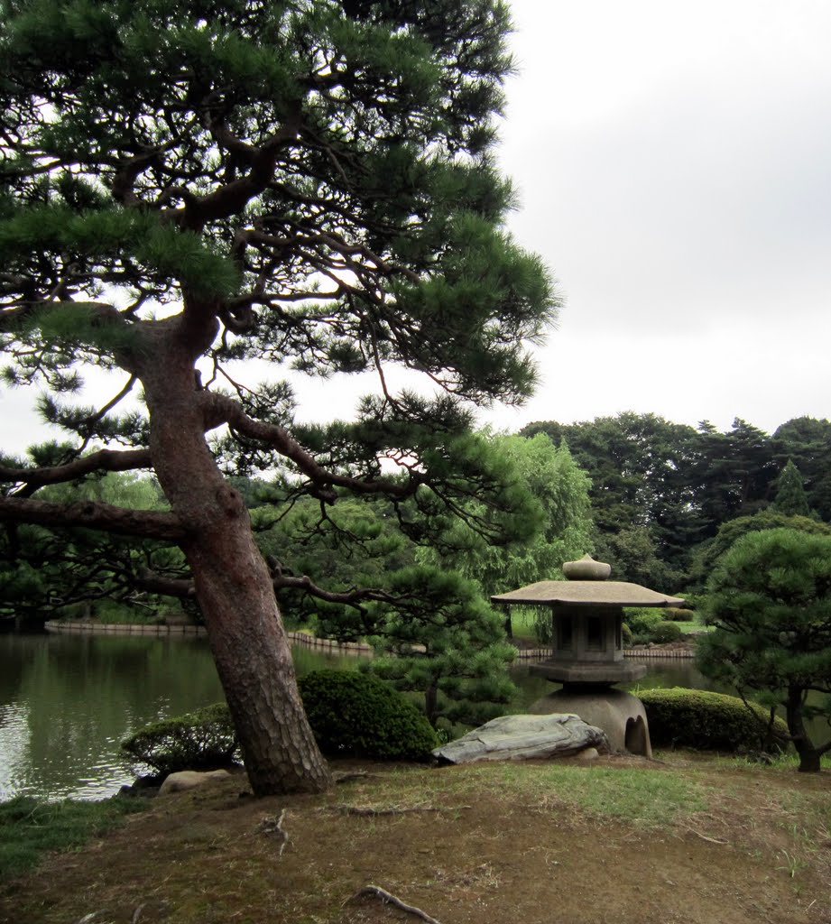 Shinjuku Gyoen National Garden, Tokyo by Jennifer Bailey