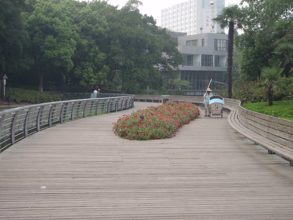 Planter in bridge by ddelongchamp