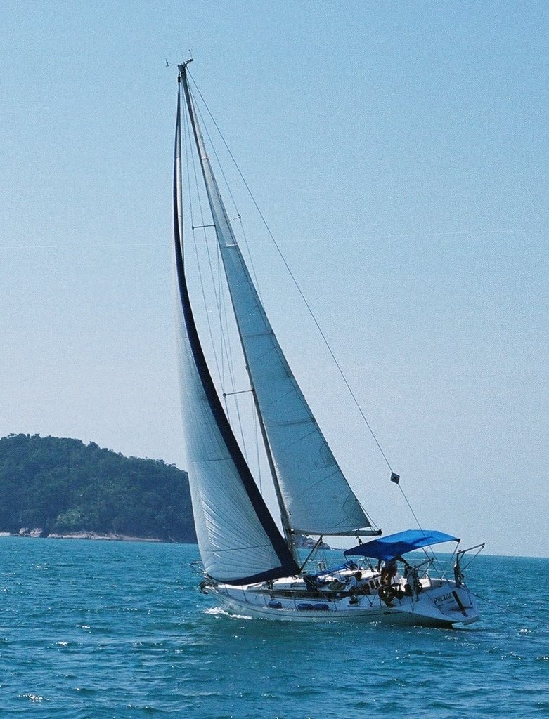 Phetixe na Ilha Anchieta em Ubatuba by Decopi