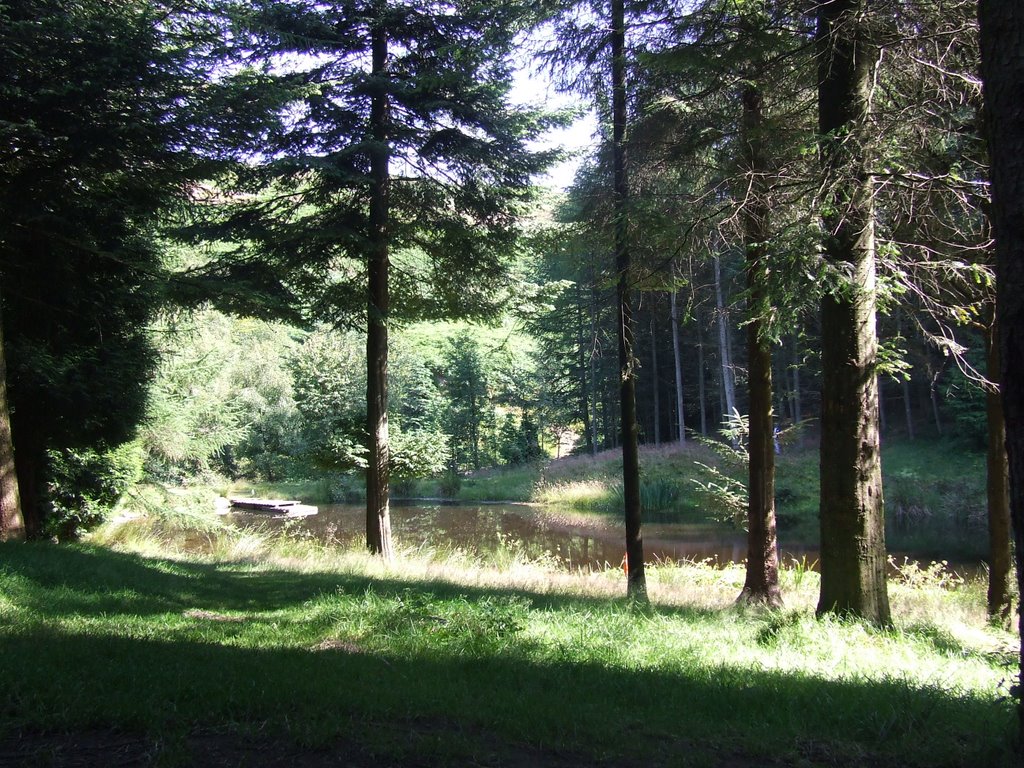 Back of Danby Dale by Skipper_is