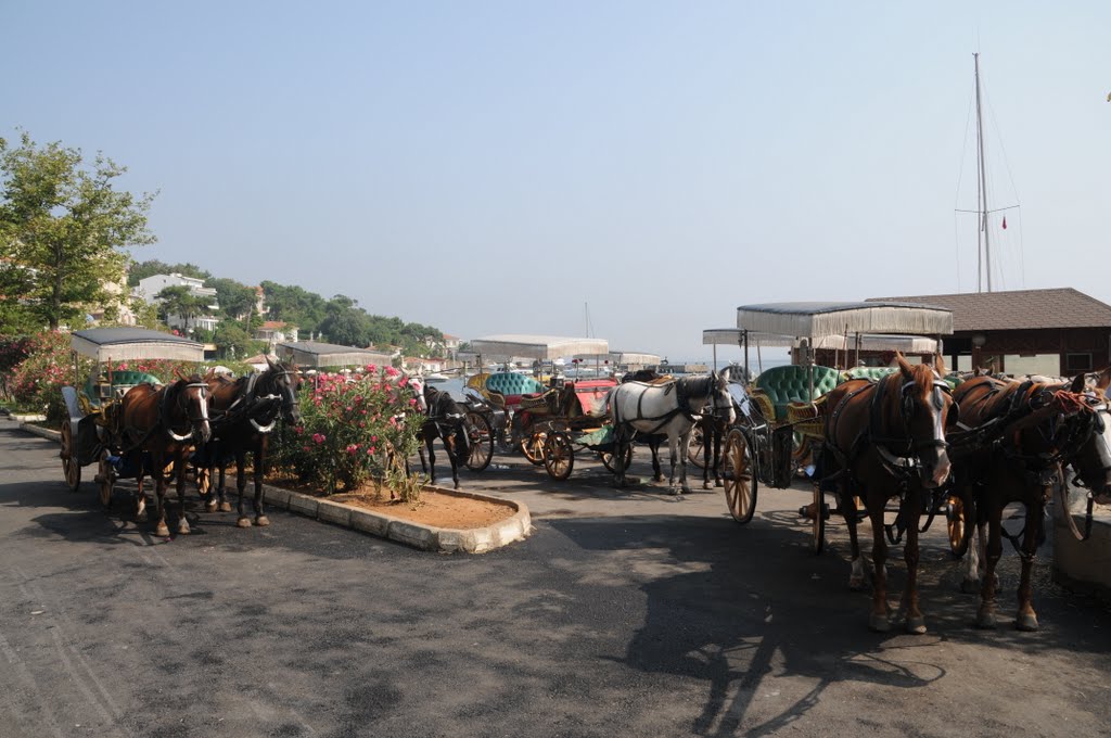 HORSES AND FAYTON PARKING FROM BURGAZADA by hasanski5