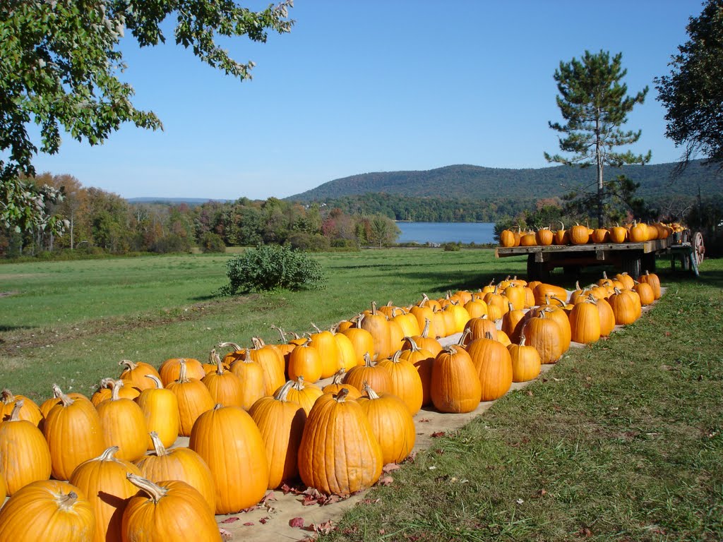 FALL AT RICHMOND POND - THE BERKSHIRES - MASSACHUSETTS by JC BOUILLON