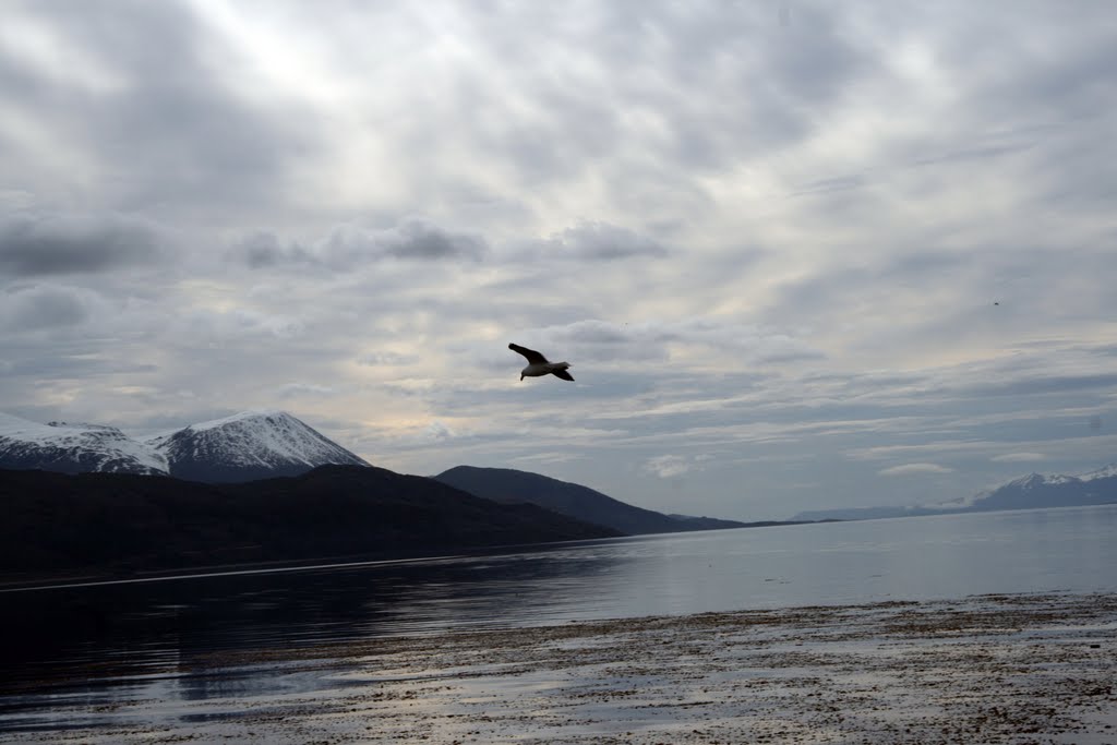 Patagonia, Argentina by pilar lopez (zarza)