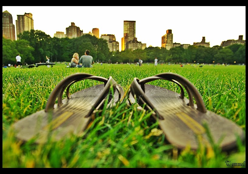 °°Magic Moments in Central Park°° by Temesi Melinda