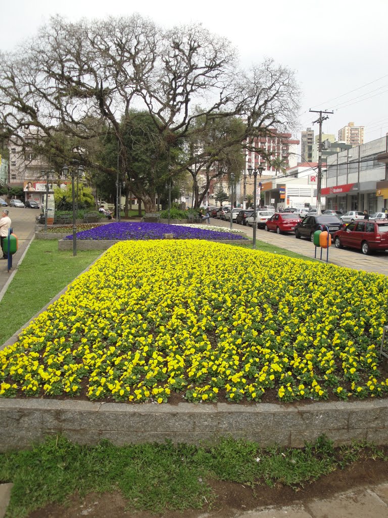 Centro, Bento Gonçalves - RS, Brazil by luiz antonio tesser