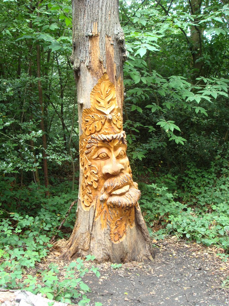 Wood art in Lesnes Abbey Wood by hugov