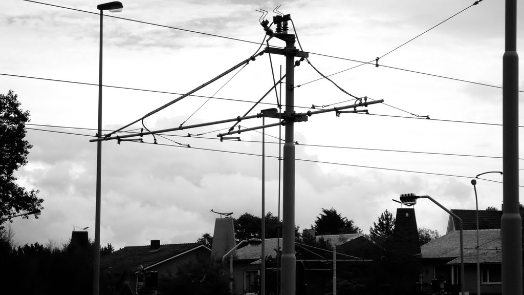 Vive la belgique en noir et blanc by jm despeghel