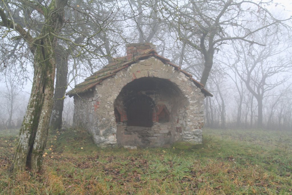 Backofen im Nebel by © alfredschaffer