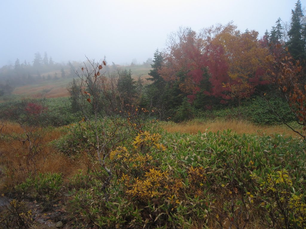 Midagahara Highlands in October　弥陀ヶ原　晩秋 by COCOCOLOR