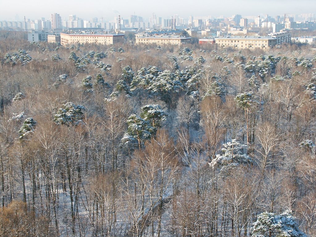 Pokrovskoe-Streshnevo Park by Yustas