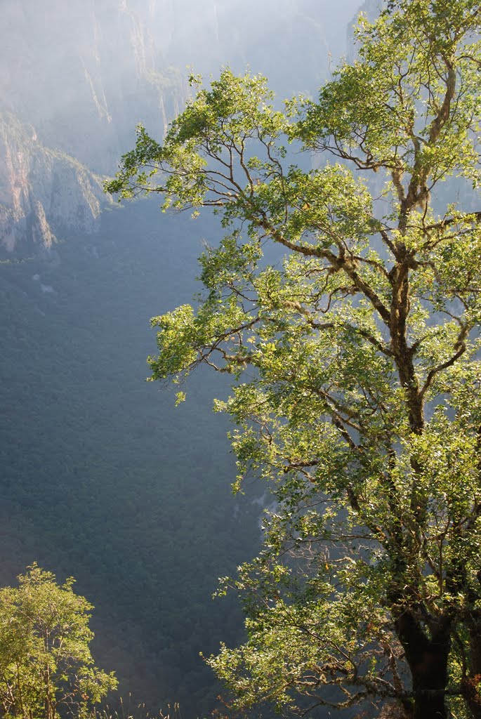 Gorges de Vikos - 2010 by Jean-Luc Pierrat