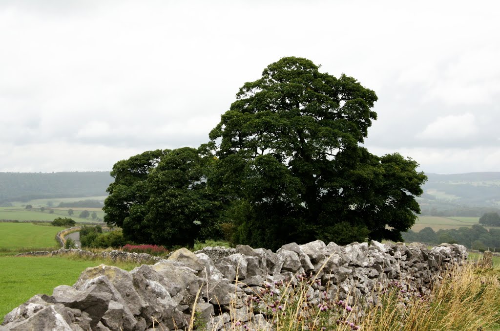 Peak-District by gustl