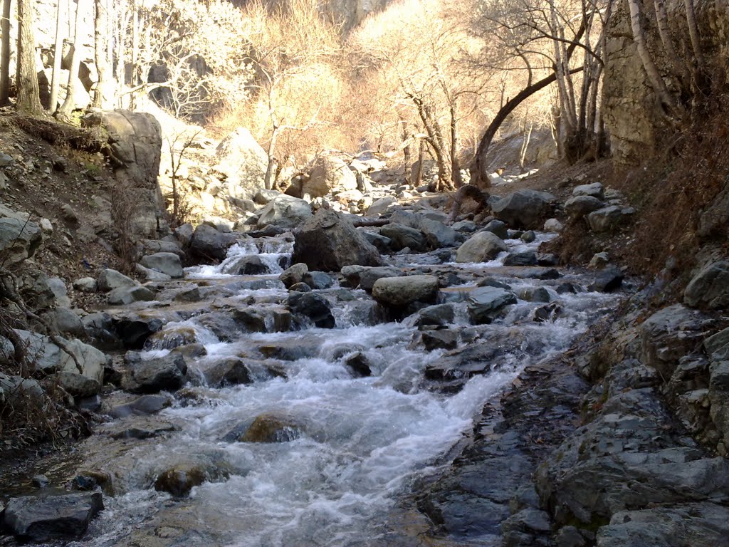 DarAbad River رودخانه دارآباد by Rman Sky