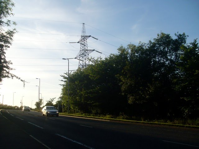 Pylons west of Blantyre by seventiescopshow