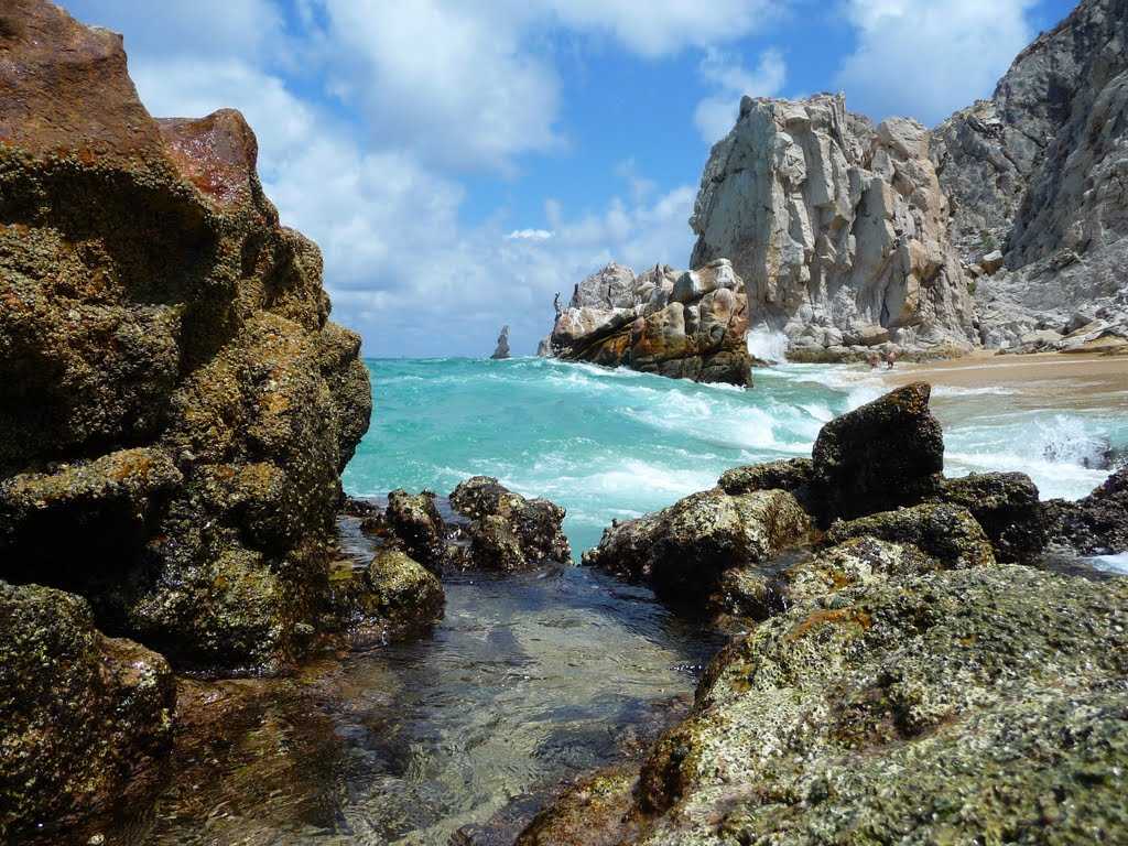 Los Cabos, Pelican Beach by Mamedov Ruslan