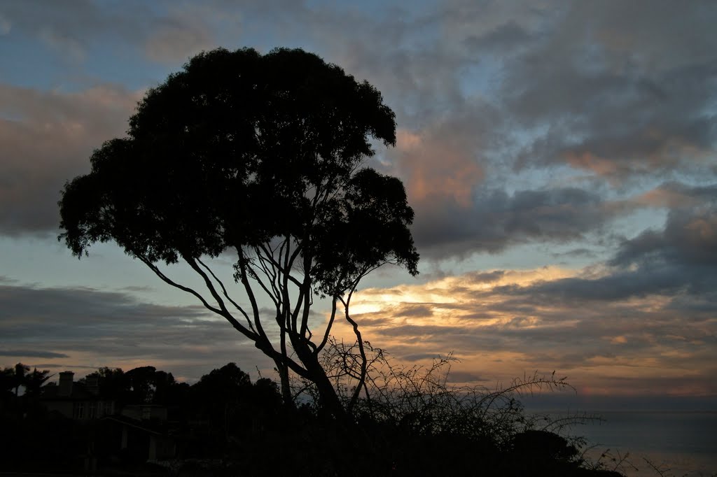 Sunrise Silhouette by Connor Smith