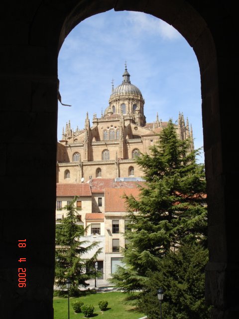 SALAMANCA 19 by jose luis hidalgo