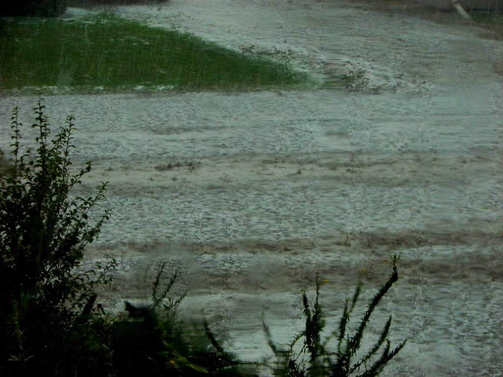 Downpour... by walkaboutwest