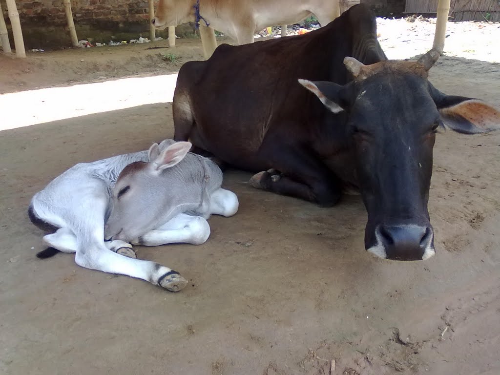 Digaru ghat market, Chandrapur road by San Phrangmung