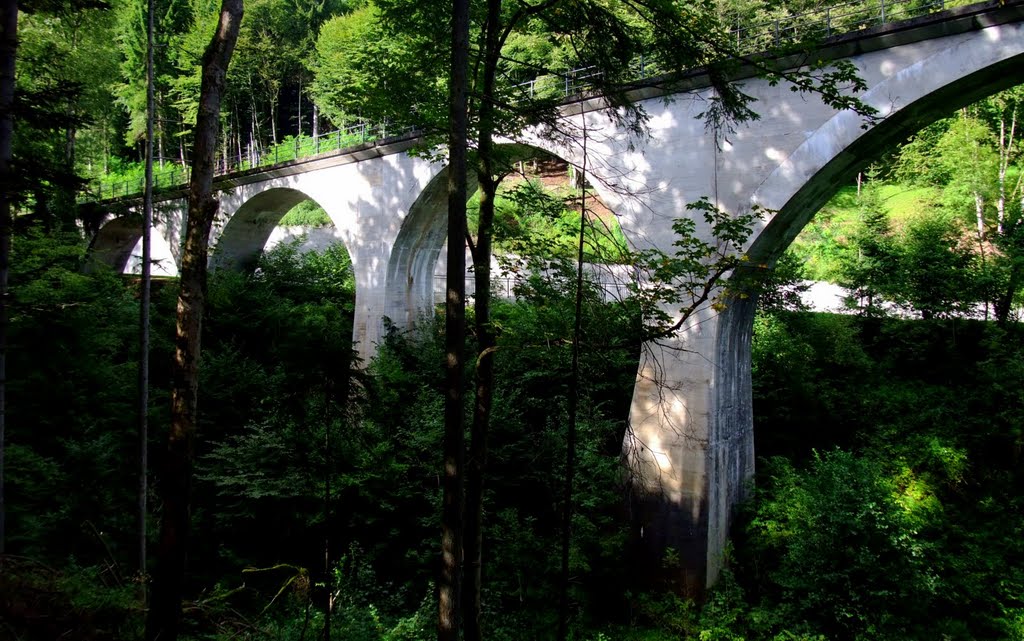 Blick über die Wieslaufschlucht zum renovierten Waldbahn-Viadukt by DerLuko