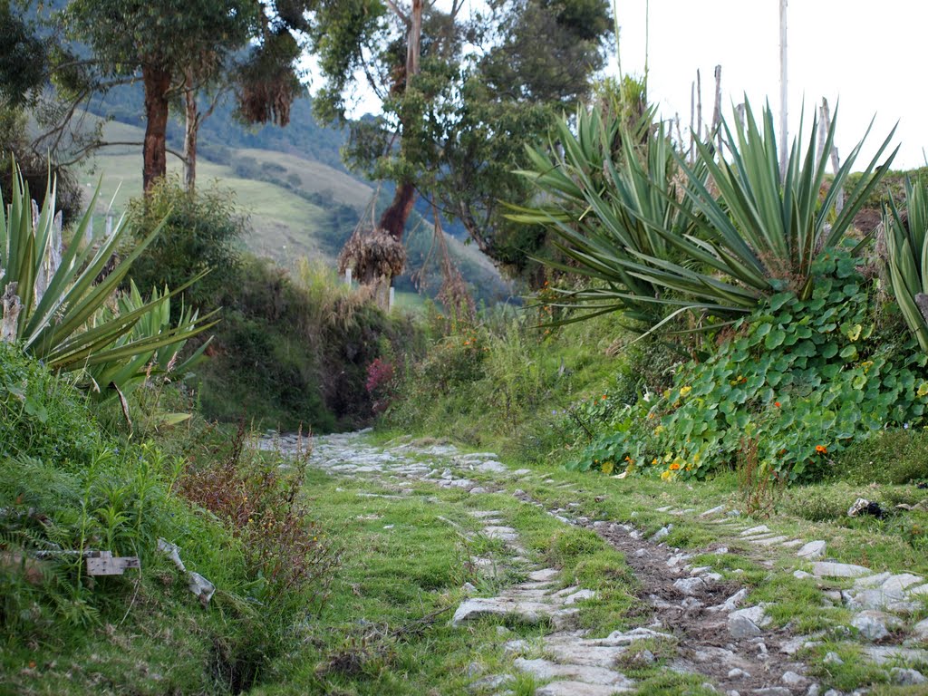 Camino Sonsón Antioquia by mauricio agudelo