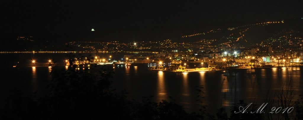 Dall'alto di Muggia. by Tony Mininni