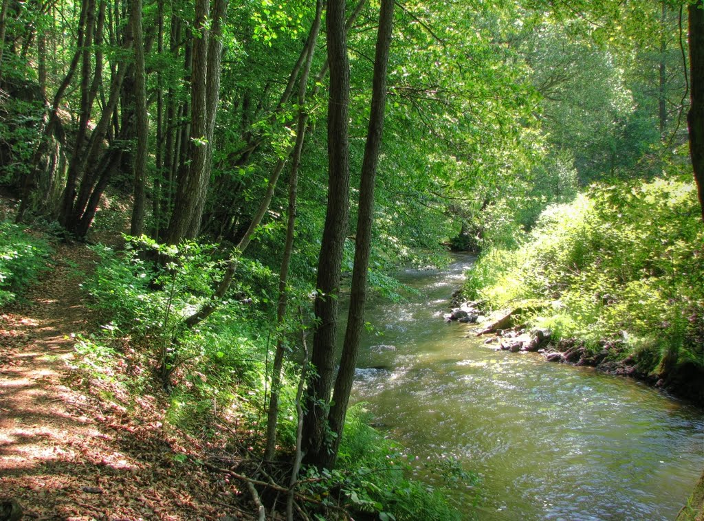 An der Großen Striegis - Wanderweg by Rudolf Henkel