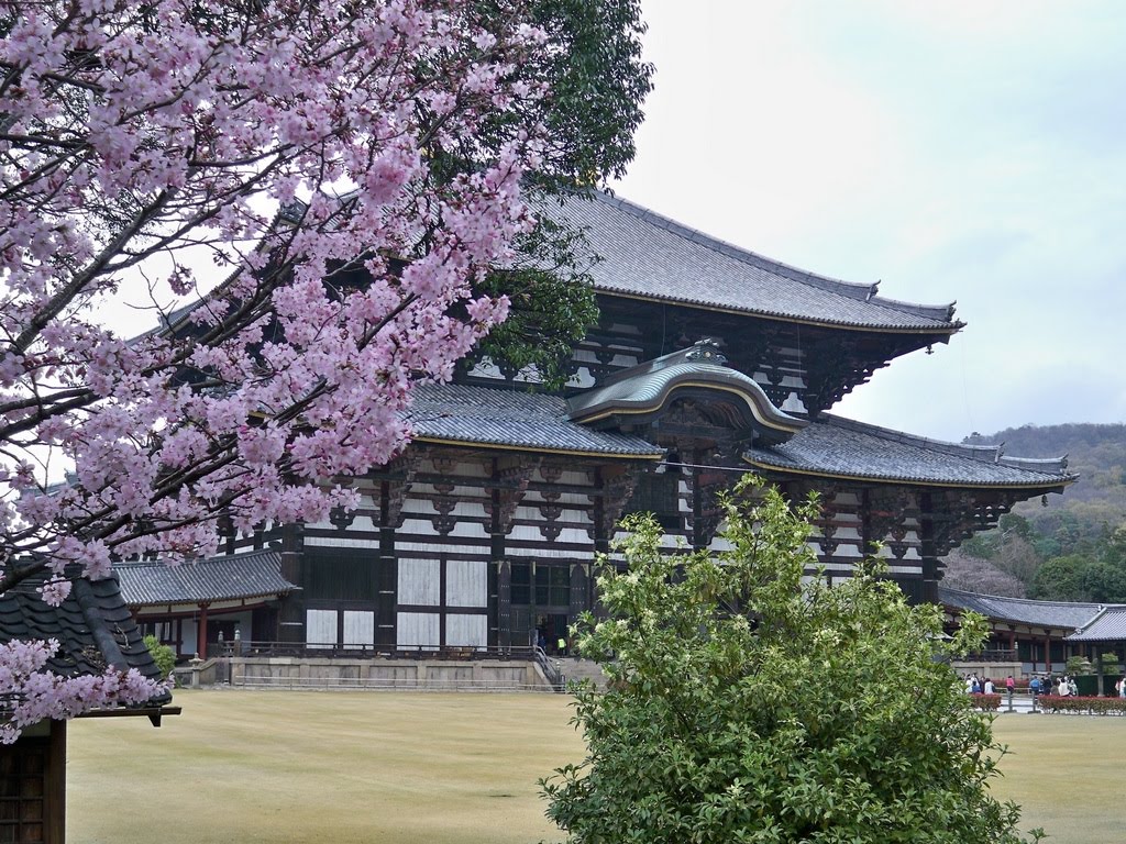 Todai-ji temple, Nara by broste66