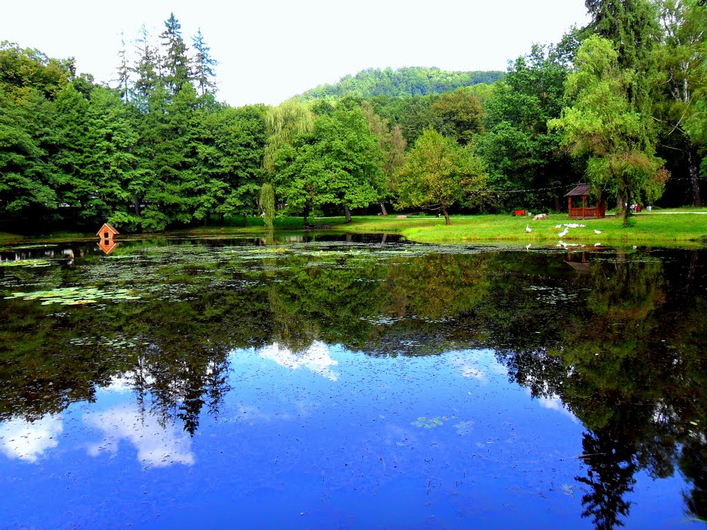 Szinevéri Lake - Szinevéri tó by Mata Hary