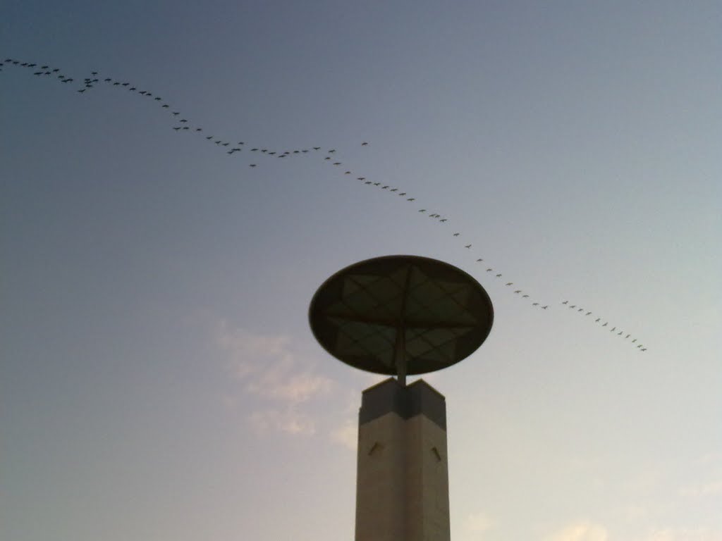 Fly past over Museum of Islamic Art, Doha by Balaji Subbaiah